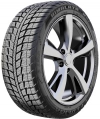 Tires Federal Himalaya WS1 205/55R16 91H