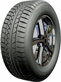 Tires Petlas Snowmaster W651 205/65R15 94H
