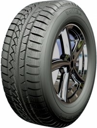 Tires Petlas Snowmaster W651 205/65R16 95H