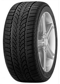 Tires Rockstone Eco Snow 205/55R16 91H